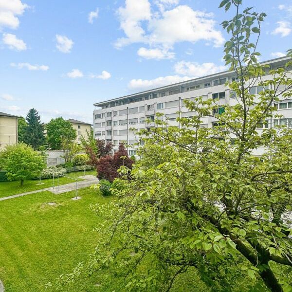 3 Zimmer, 77 m², 1. Stock - Foto 1