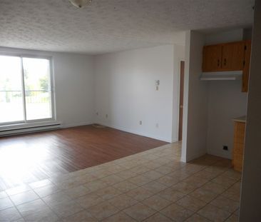2080-310 rue Gauthier 1050$ Vacant - Photo 5
