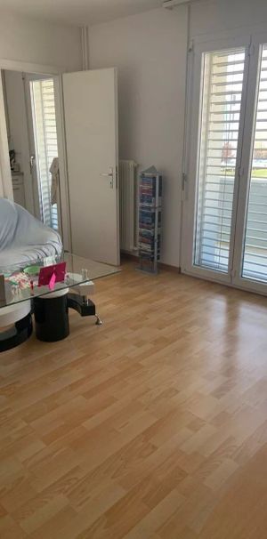 Magnifique logement de 2 pièces à louer ! - Photo 1