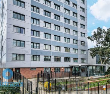 1 bed Apartment for Rent - Photo 4