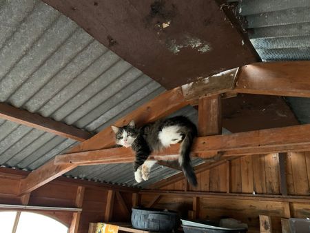 Gezellige en moderne zolderkamer te huur - Foto 4