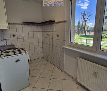 Mieszkanie Wynajem: Słupsk - Zdjęcie 6