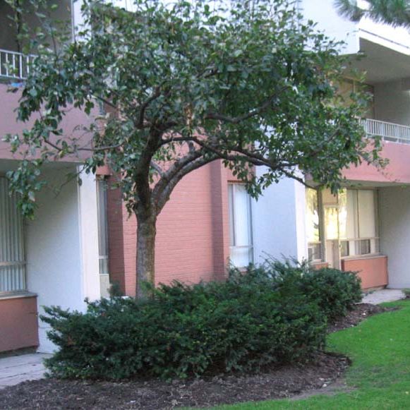 Rideau Towers - Photo 1