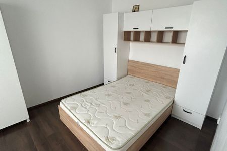 Apartament de inchiriat, 2 camere Alexandru cel Bun - Fotografie 5