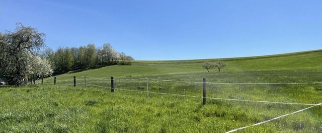 Himmlische Dachwohnung in herrlicher grÃ¼ner und lÃ¤ndlicher Umgebung! - Foto 1