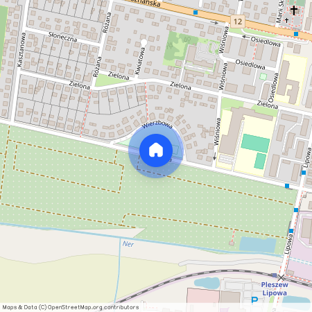 ul. Wierzbowa, Pleszew, Pleszew, pleszewski, wielkopolskie