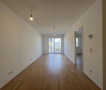 ab Dezember: 3 Zimmer Gartenwohnung I in Stockerau - Photo 2