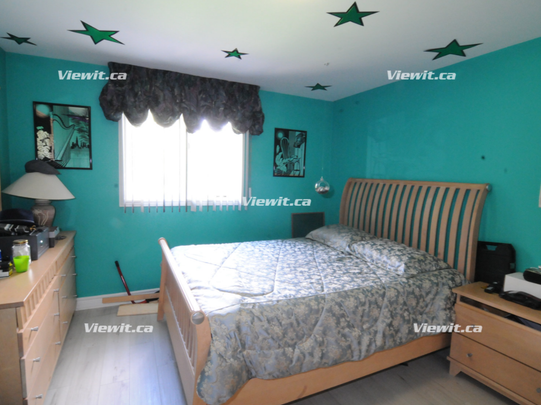 2 Rooms Available in LARGE House for Rent - Photo 1