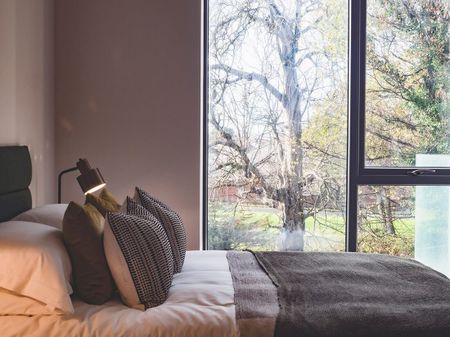 Scholarstown Wood - Photo 5