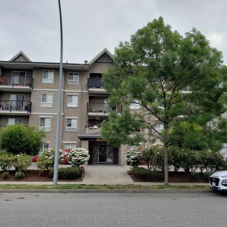 BACHELOR UNIT, 2nd floor, Clearbrook - Photo 4