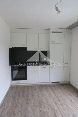 1 Zimmer, 45 m², 3. Stock - Foto 1