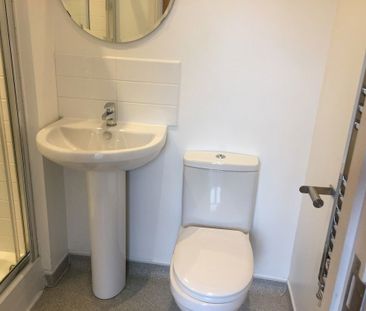 Unit 10 Lower Holyhead Road - Photo 6