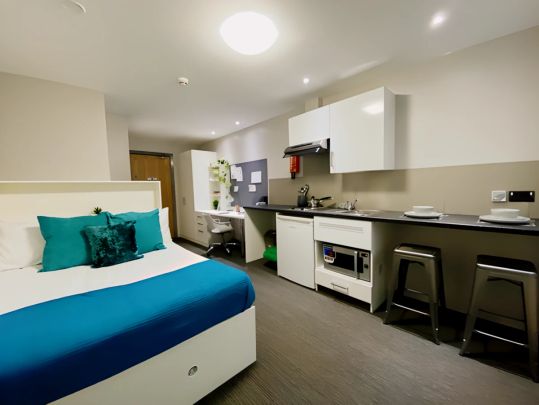 Studio bronze - Photo 1