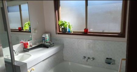 Manly West - Photo 2