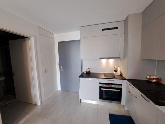Lumineux et spacieux 1,5 pièce de près de 40 m2 - Photo 1
