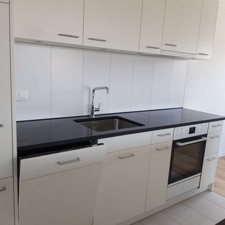Neu renovierte 3,5-Zimmerwohnung an zentraler Lage mit wunderschöner Aussicht - Foto 2