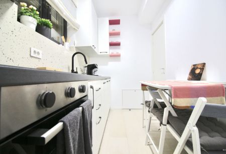 PARCUL CAROL-MITROPOLIT GRIGORE, GARSONIERA COCHETA, BLOC 20 - Fotografie 5