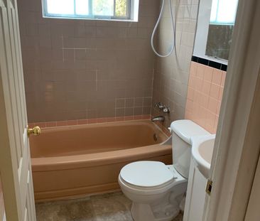 For Lease - 42 Hilltop Drive Unit# 6, Cambridge, Ontario - Photo 5