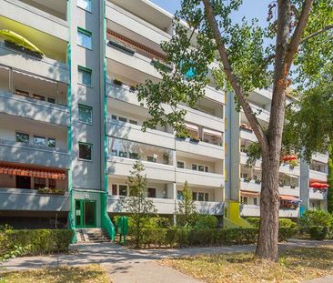 Platz für die ganze Familie - Foto 1