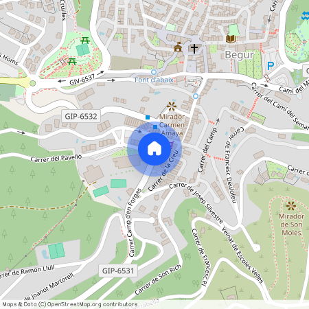 Begur, - Pi i rallo 1