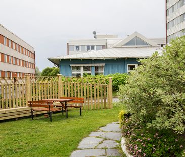 Trädgårdsgatan 5 B, 94161, Piteå - Foto 5