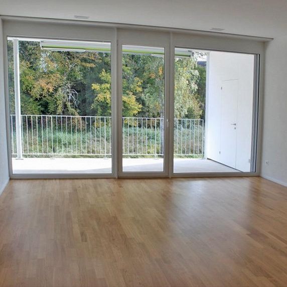 4.5 Zimmerwohnung in Schaffhausen - Foto 1