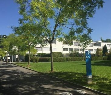 Living in Sihlhof 2 - Attention singles - Foto 2