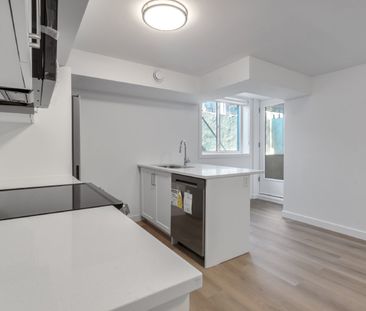 294 Somerset Street East - 101 - Photo 4