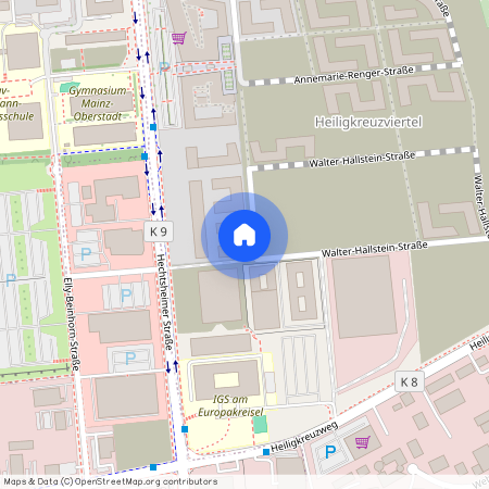 Walter-Hallstein-Straße 18b, 55130, Mainz