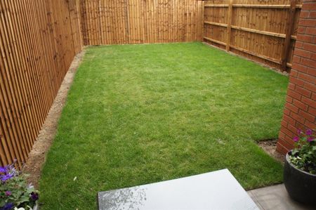 3 bedroom House To Let - Photo 5