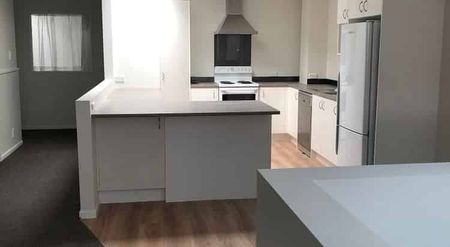 Large 4 Bedroom Apartment - Photo 4