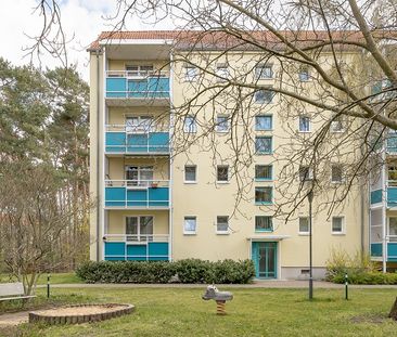 Wohnen in der Waldstadt - 2-Raum-Wohnung - Foto 1