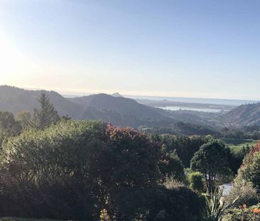 Views, Space and Comfort! - Photo 4