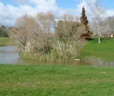 Rural Serenity - Photo 2