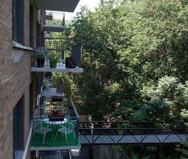 Appartement à louer - Montréal (Ville-Marie) (Centre Ouest) Apparte... - Photo 4