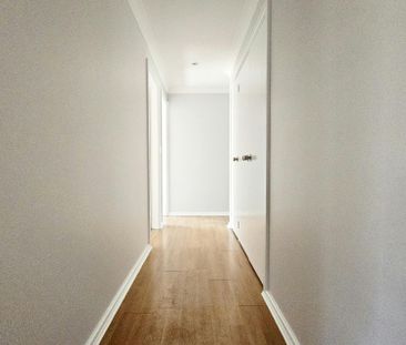 Freshly Painted – 4 Bedroom Family Gem! - Photo 6