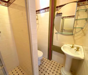 1/160 Smith Street, Summer Hill NSW 2130 - Studio For Rent | Domain - Photo 2