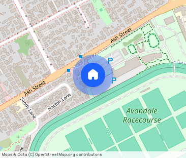 Big is good - Photo 1