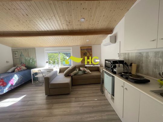 Alquiler Estudio en Urbanización - El Bosque, Villaviciosa De Odón - Foto 1