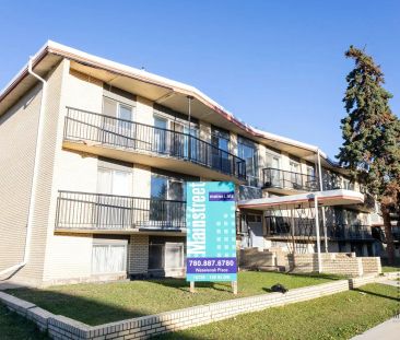 Waselenak Place Apartments — 1 bedroom - Photo 1
