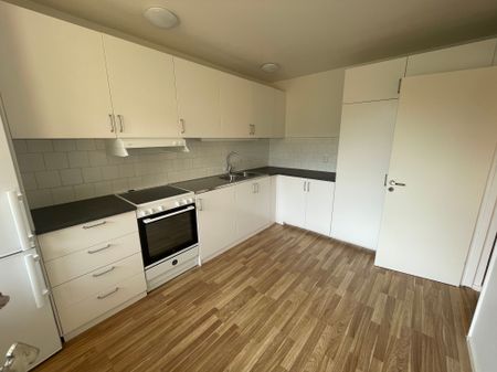 Pionvägen, Gusum - Foto 4