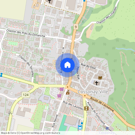 1304, Cossonay-Ville, Grand'Rue, 13