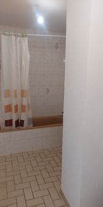 Location Appartement 1 pièce 24m² - Photo 3