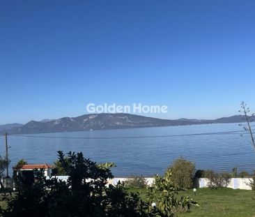 Μονοκατοικία για ενοικίαση Αρκίτσα (Δαφνούσες) - Φωτογραφία 6