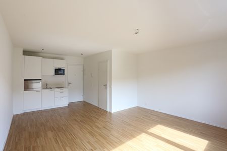 Moderne 1-Zimmerwohnung beim Claraplatz - Foto 4