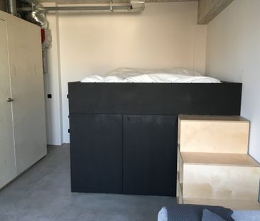 Te huur: Studio Professor Pieter Willemsstraat in Maastricht - Photo 4