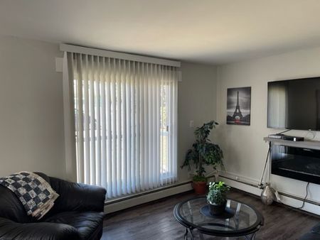 Unit 207, 3811-54 Avenue, Red Deer, AB - Photo 4