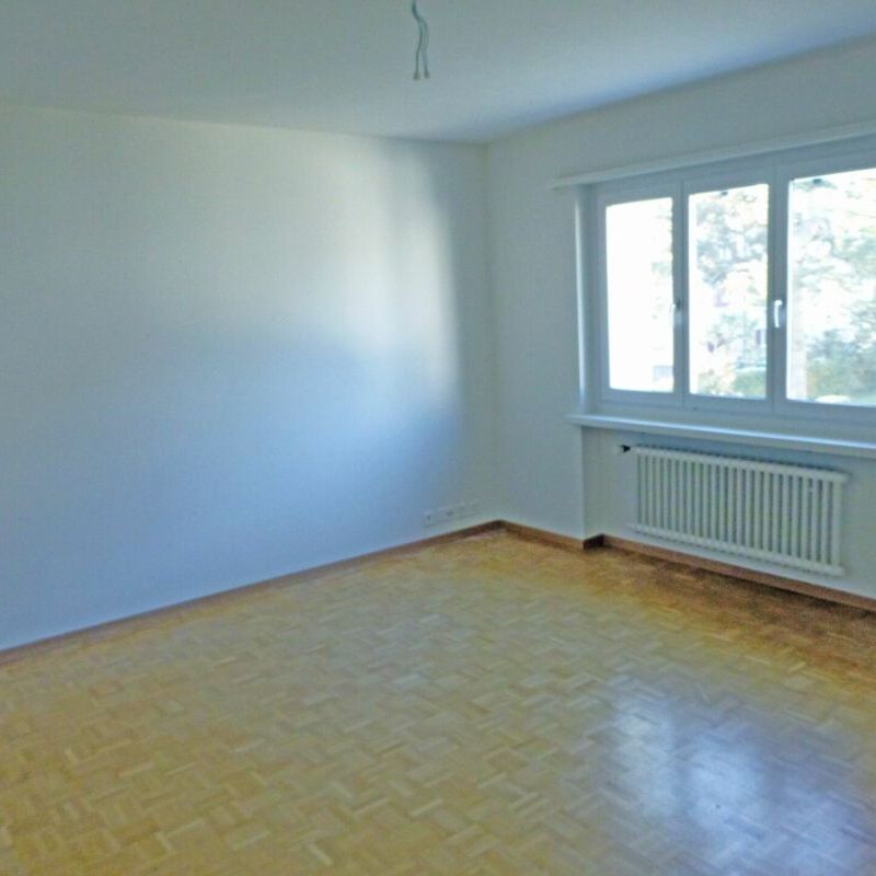 Moderne Wohnung unmittelbar beim Kantonsspital Aarau - Foto 1