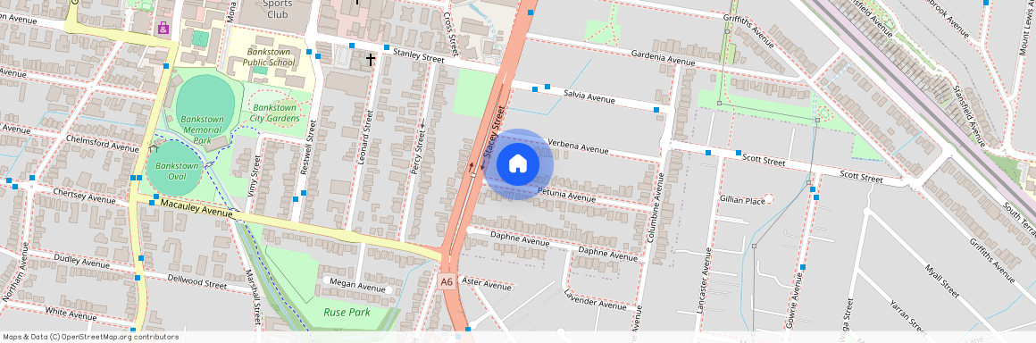 35 Petunia Avenue, NSW 2200, Bankstown