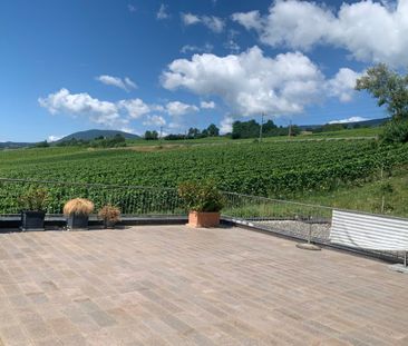 Avec vue panoramique sur le lac, les Alpes et les vignes, magnifiqu... - Photo 1